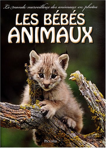 Les bébés animaux