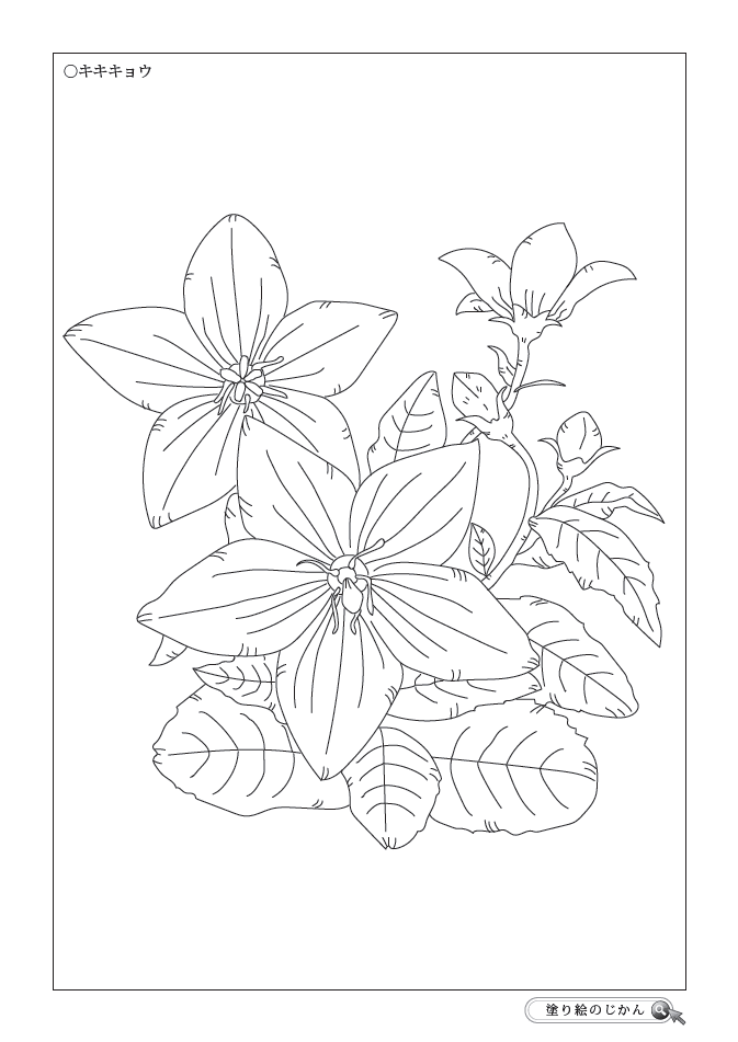 夏の花ぬりえ 塗り絵のじかん