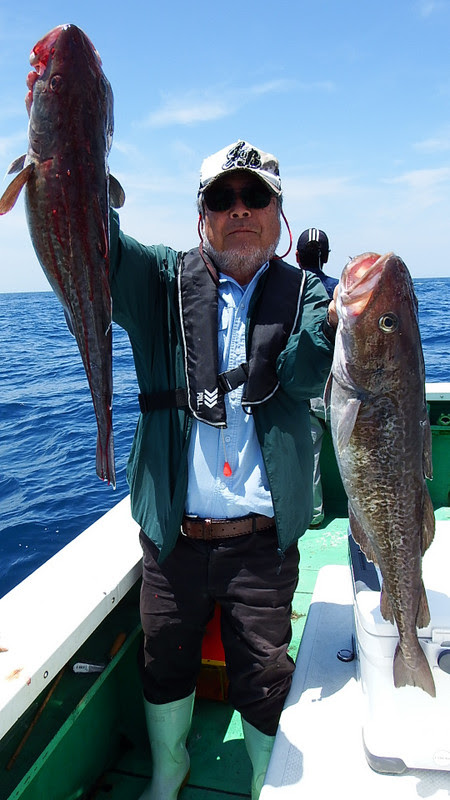 30年6月3日久しぶりに鱈釣り 第三むつりょう丸の釣果