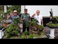 lihat Video Dandim 0422 Lambar Kunjungi Lokasai Koleksi Bonsai, Ini Sarannya