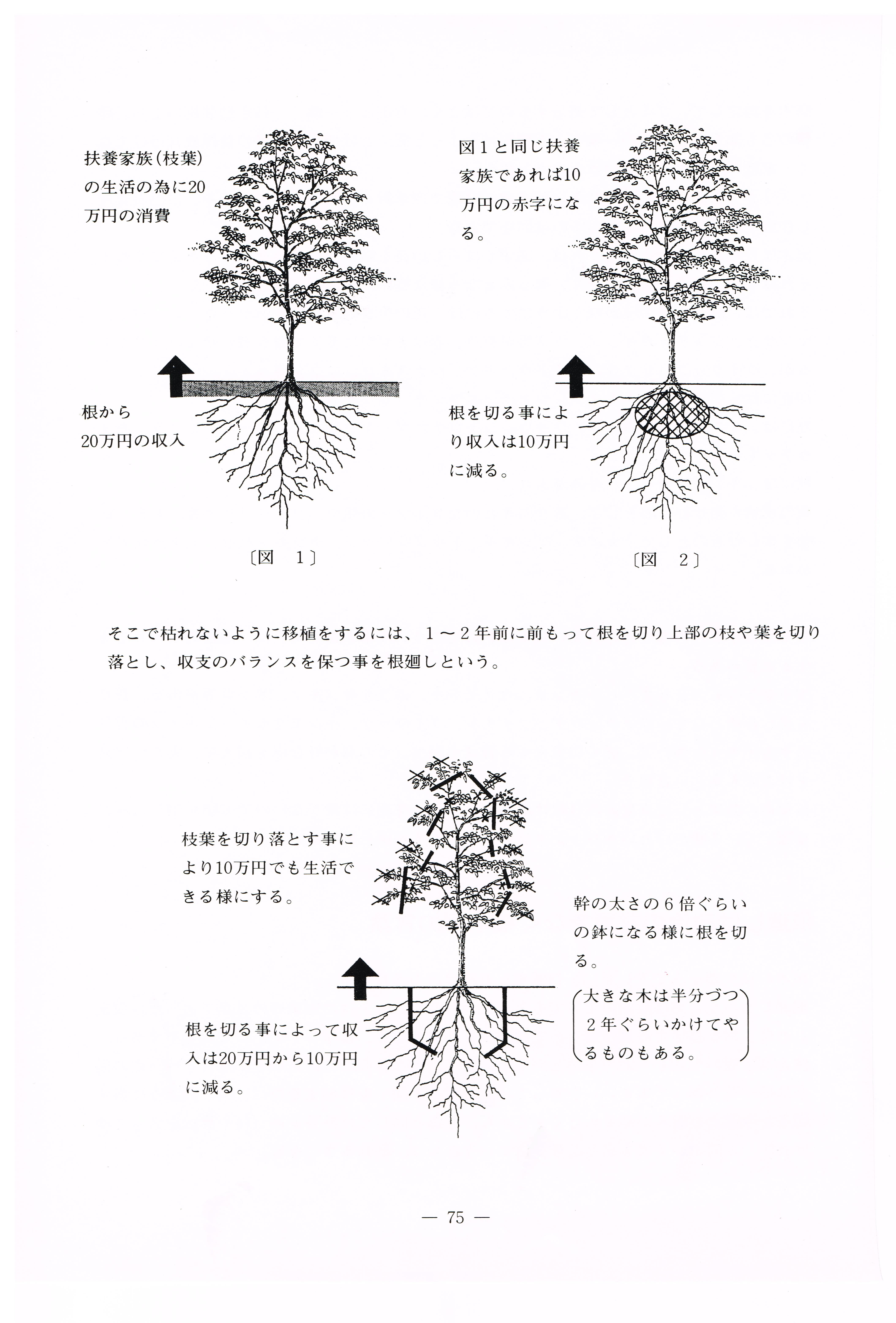 植木を移植するための 根回し とは 庭じまい