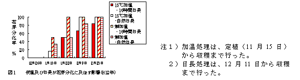 ハウス軟白ねぎの９月播き春どり栽培の抽だい抑制法