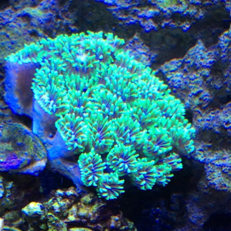 Click image for larger version Name: IMG_0330.jpg Views: N/A Size: 113.1 KB ID: 157114