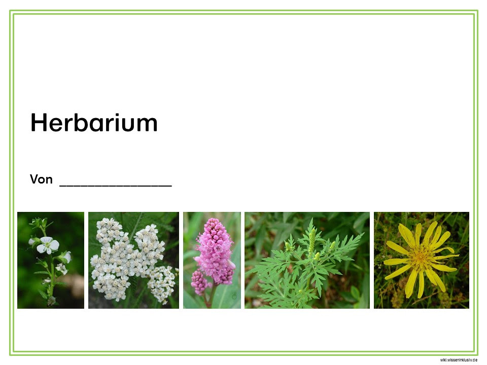 Herbarium Deckblatt Vorschlage Wiki Wisseninklusiv