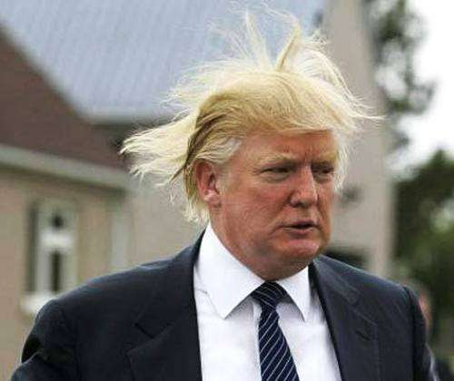 trump hair wind. house donald trump hair