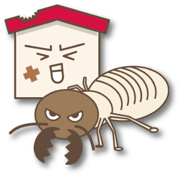 長岡市のシロアリ駆除は株式会社テイク