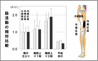 公開講座 平成２４年度 開催報告