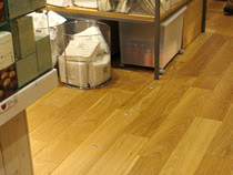 テリトリーチップとは