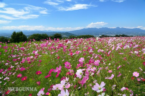 鼻高展望花の丘 高崎市 群馬県の観光スポット 旅行 温泉 地域情報 Web群馬