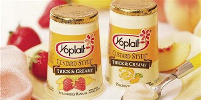 Custard Style Yogurt: A Delicious And Nutritious Recipe