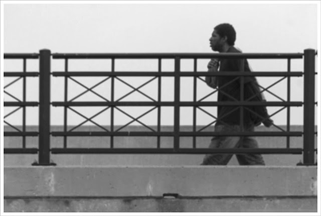 Eads Bridge 2013-05-25 5