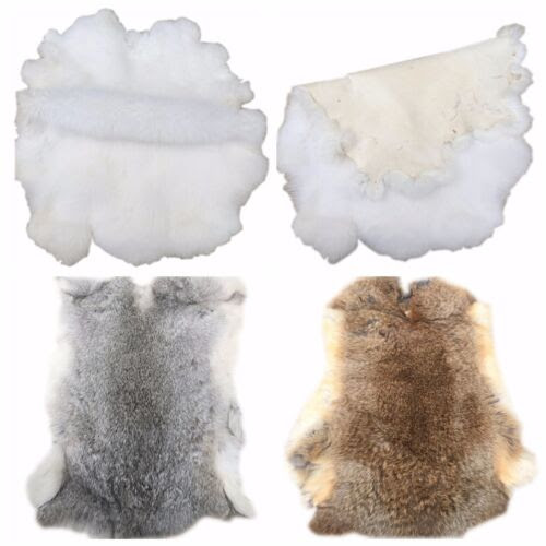 4 Colours Pelts for Animal Training Garment 1-10XRabbit ...