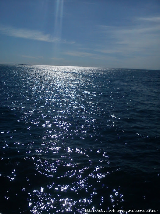 3846346_DSC05081 (525x700, 326Kb)
