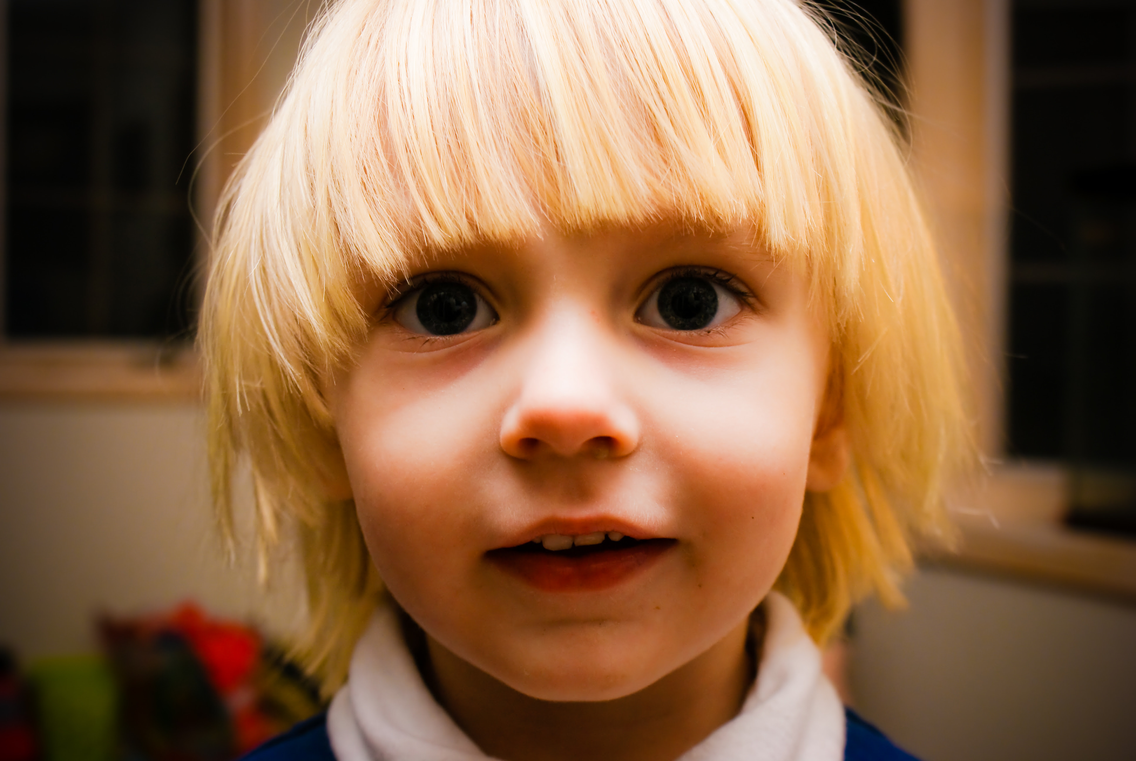 フリー画像 人物写真 子供ポートレイト 外国の子供 少年 男の子 金髪 ブロンド フリー素材 画像素材なら 無料 フリー写真素材のフリーフォト