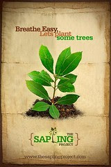 The Sapling Project
