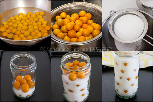 醃柑桔製作圖 How To Make Salted Kumkuat/Salted Madarin01