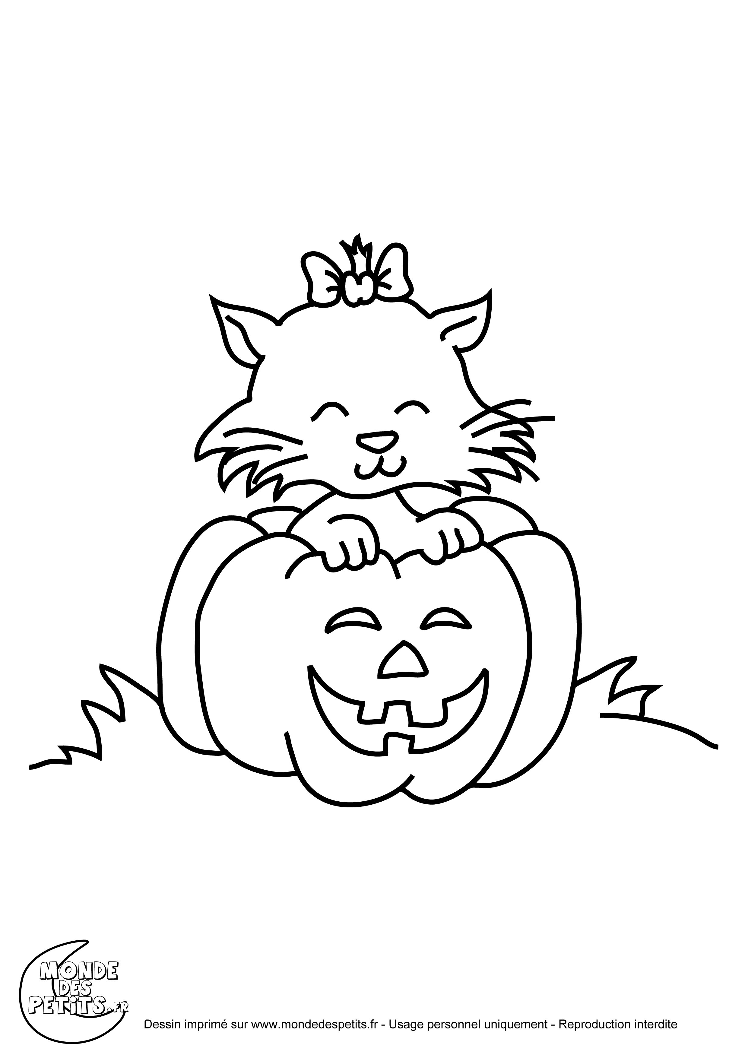imprimer Coloriage de chauve souris d halloween Coloriage le chat dans sa citrouille