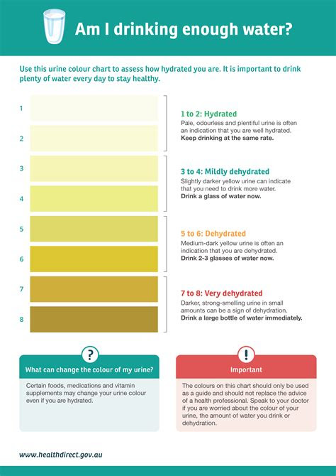 What color should urine be? keep freediving your best hydration and nutrition freedive wire