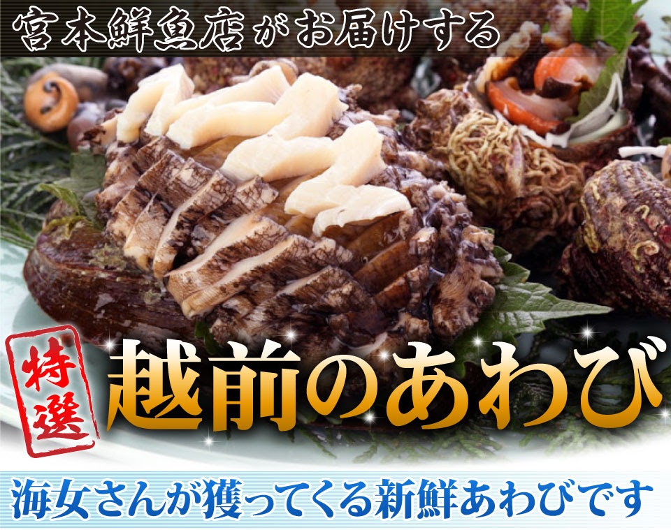 あわび通販 鮑やアワビの通販 妊娠 出産 おめでた 妊婦さんへのお祝い贈り物にいかがでしょうか