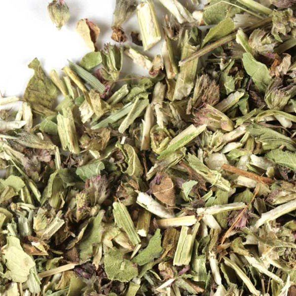Wood Betony Information And Wood Betony Herbal Remedies