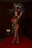 miss earth 2011 national costume competition south africa dominique mann