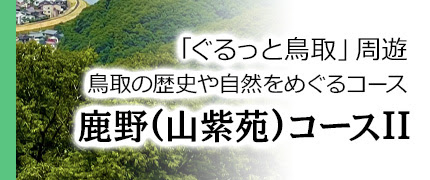 大森タクシー 鳥取ハイヤー共同組合 鳥取観光は とっとりタクシー Com