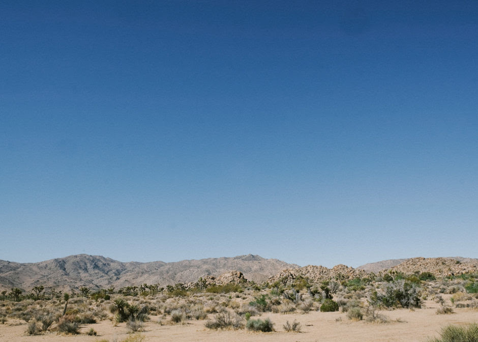 CALIFORNIA - Hannah Shelby