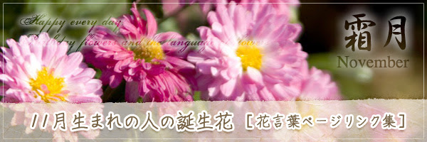 11月生まれの人の誕生花 の花言葉 誕生花 チルの工房 无域屋 花札庵