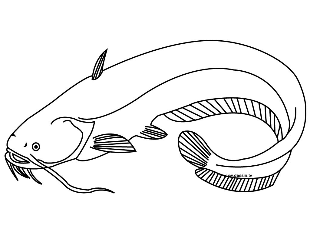 Dessin de poisson pour imprimer et colorier