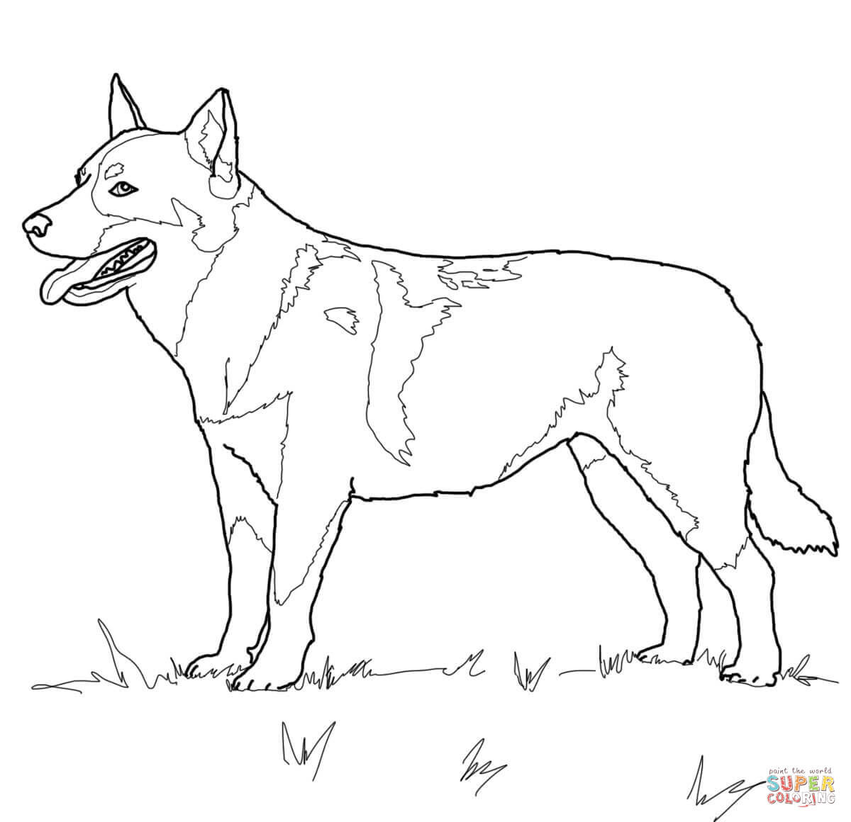 the Australian Cattle Dog coloring pages to view printable