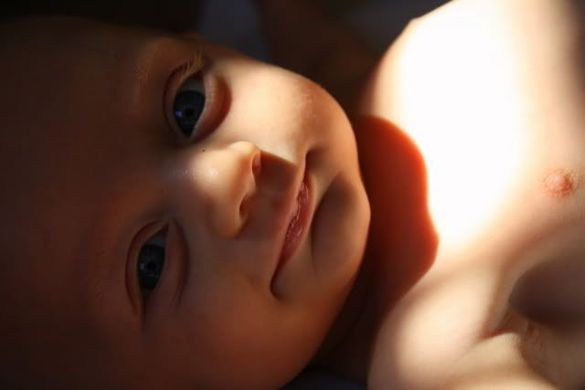 maddox1