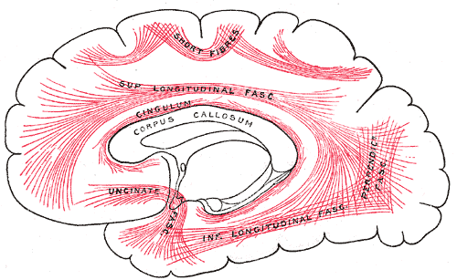 File:Gray751.png