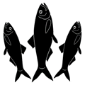 three fish