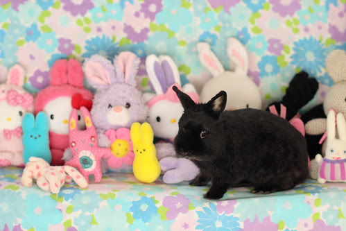 Happy Easter Outtakes by Jeni Baker