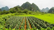 Konsep 32+ New Zealand Agriculture