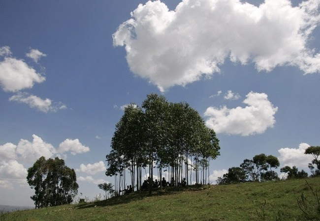 Традиционные войны за землю в Африке (19 фото)