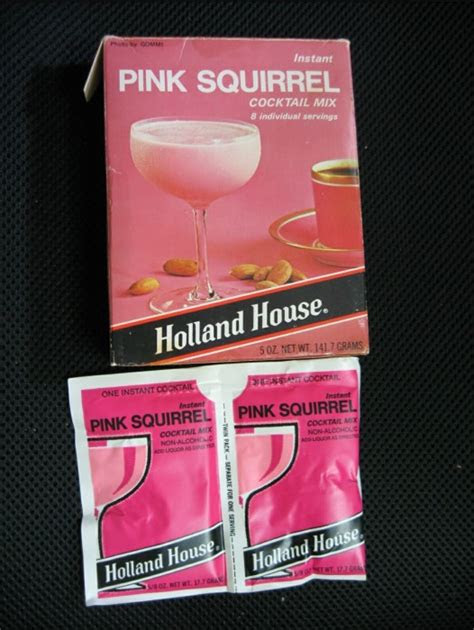 allee willis museum  kitsch pink squirrel instant
