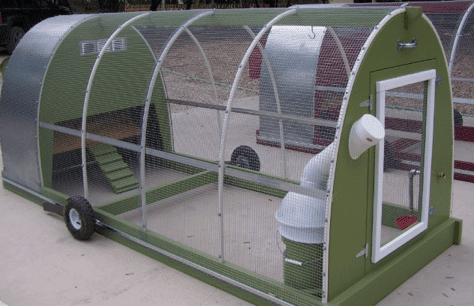 How To Build A Cool Urban Chicken Coop | Homestead &amp; Survival