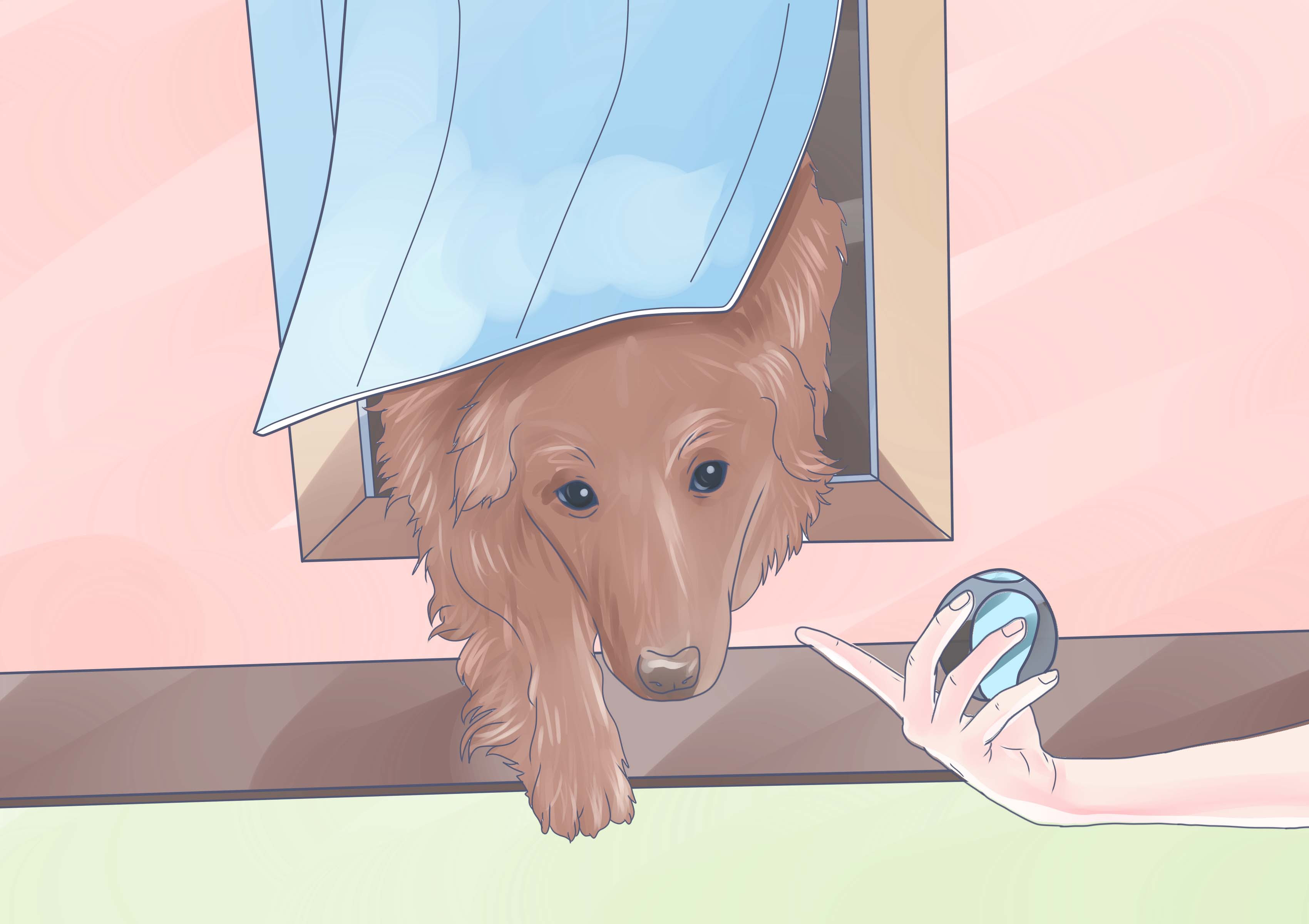 How to Train Your Dog to Use a Dog Door: 8 Steps (with Pictures)
