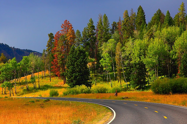 IMG_6010 Northeast Entrance Road, Yellowstone National Park