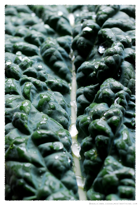 cavolo nero© by Haalo