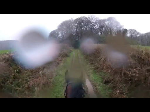 This Is The Loudest Horse Rider Of All Times And His Horse Just Had
Enough - Video