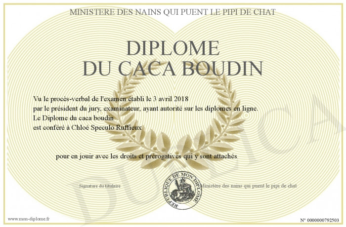 Diplome Du Caca Boudin