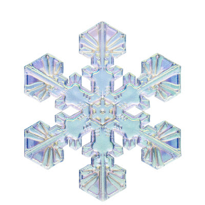 雪の結晶 チャームストラップ ネイチャーテクニカラー公式