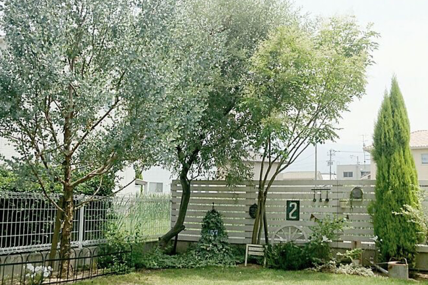 シルバーリーフが魅力 ユーカリの木 熊本のエクステリア 外構工事 ガーデニング 造園 庭 Granks