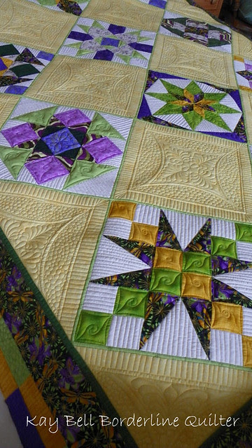 Dragonfly Party 2/15