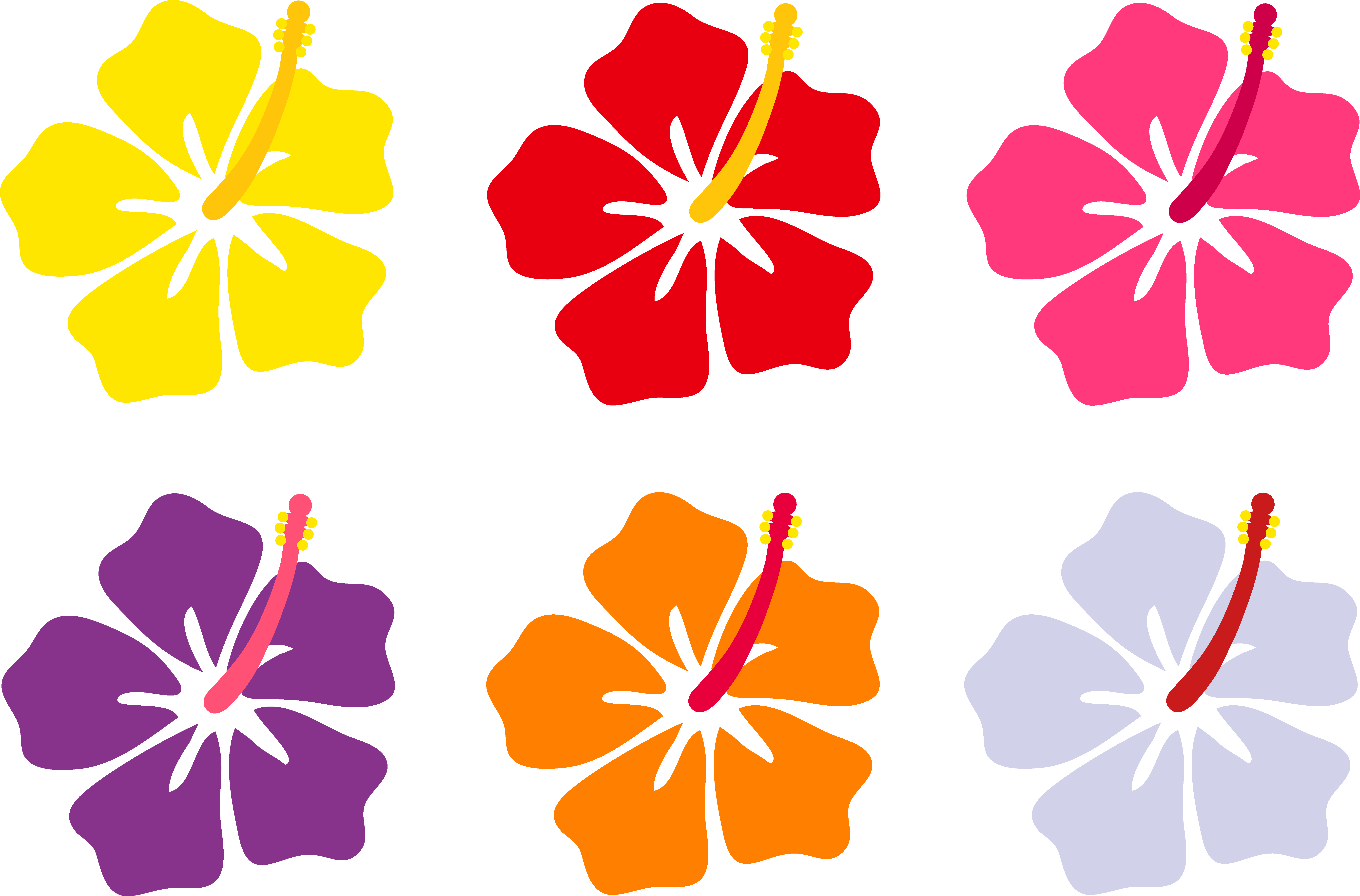 free hawaiian flower clipart download free clip art free clip art on clipart library free hawaiian flower clipart download free clip art free clip art on clipart library