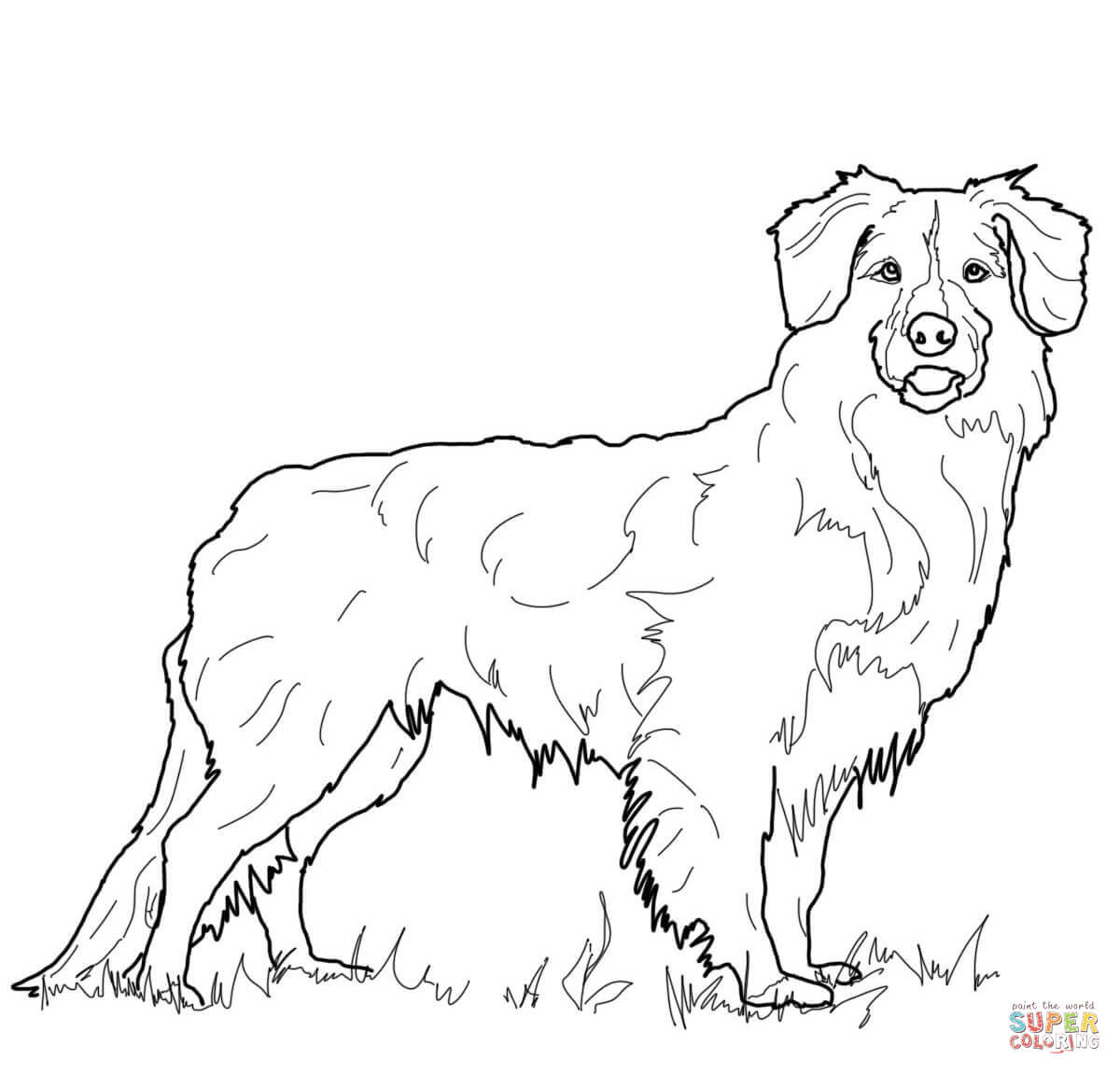 Free Golden Retriever Puppy Coloring Pages Printable ...