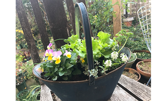 神戸市長田区のお花屋 ラ パルテール