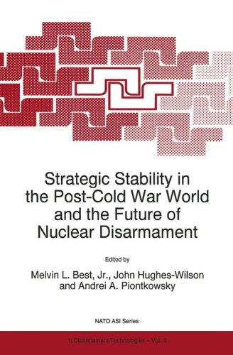 Strategic Stability in the Post-Cold War World and the Future of Nuclear Disarmament (Nato Science Partnership Subseries: 1)